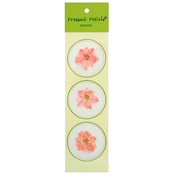 Light Pink Pressed Larkspur 30 Pack