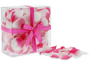 Pink and White Floral Petals