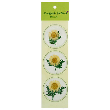Pressed Daisy Floral Sticker 30 Count