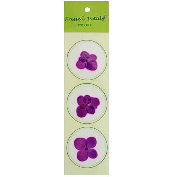 Pressed Purple Orchid Flowers 30 Count