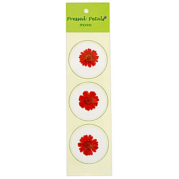 30 Pressed Mini Red Gerber Flower Stickers