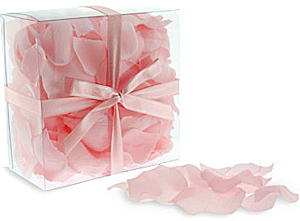 Pastel Pink Rose Petals