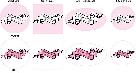 Wedding Banner Labels