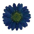 Blue Daisy Floral Sticker 30 Pack