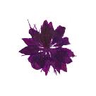 Deep Purple Flower Sticker 30 Count