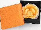 Orange Floral Floating Wedding candle