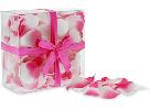 Pink and White Floral Petals