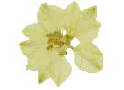 Pressed Ivory Larkspur Sticker 30 Count