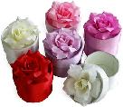 10 Pack of Satin Round Gift Boxes with Rose Top