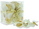 Mixed Gold and White Flower Petals