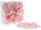 Pastel Pink Rose Petals